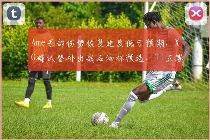 Ame手部伤势恢复进度低于预期，XG确认替补出战石油杯预选，TI正赛席位悬了吗？
